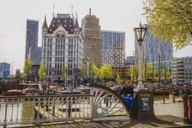 Rotterdam 3h walk with local: Hilights, Gems, Architecture & WWII