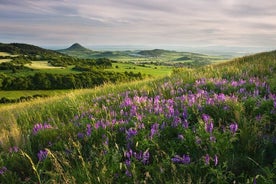 Czech Countryside Villages Tour from Prague with Animal Farm