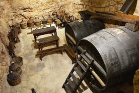 Altamura: wine museum and wine tasting