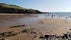 Bovisand Beach, Wembury, South Hams, Devon, South West England, England, United Kingdom