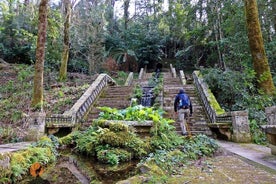 Un'avventura attraverso la foresta e il Palazzo di Bussaco - Coimbra