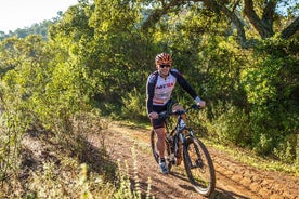 Beach and Cliffs MTB-tur