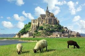 Excursão privada ao Mont Saint Michel com embarque em Honfleur