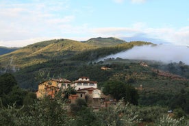 Fattoria Casamora - Villa La Leccina