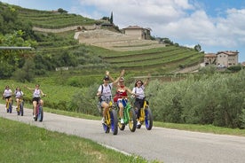 El-cykel- og vintur Valpolicella Hills