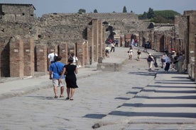 Sorrento: Pompeii & Herculaneum Tour með hraðaðgöngu