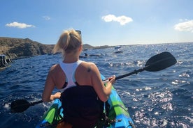 Begeleide kajaktocht vanaf Los Cristianos Beach Tenerife