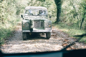 Excursão de Vinho Toscano Fora da Estrada Saindo de Castellina in Chianti