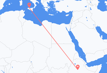 아디스아바바에서 출발해 팔레르모로 향하는 항공편