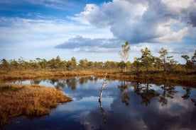 Mýrar og dvalarstaðir í Jūrmala