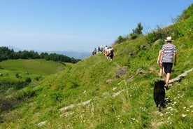 Rosia Montana gold mine & hike (1 day, from Cluj)