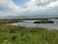 RSPB Tetney Marshes, Tetney, East Lindsey, Lincolnshire, East Midlands, England, United Kingdom