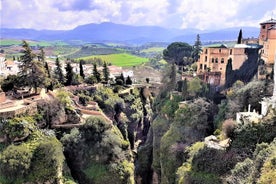 Excursión privada de medio día a Ronda desde Marbella o Málaga