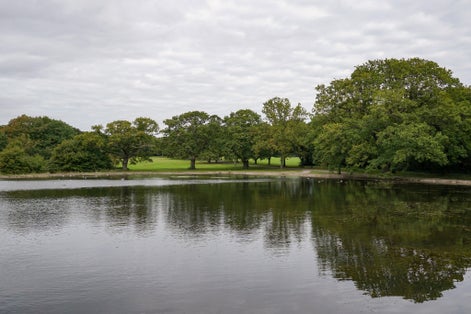 Photo of view over duck lake in the common park Southampton. parkland tree reflection in water, UK.