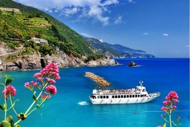 Visite privée des Cinque Terre en minibus et excursion en ferry le long de la côte au départ de Livourne