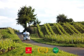 Genfer Panorama- und Verkostungstour durch die Weinberge in einem elektrischen Tuk Tuk