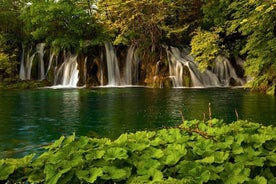 Visita Guiada a los Lagos de Plitvice