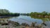 Alney Island Nature Reserve, Gloucester, Gloucestershire, South West England, England, United Kingdom