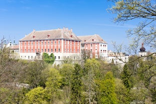 Opočno Castle