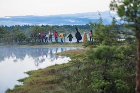 Dagstur till Magical Bog Shoe Walking tour