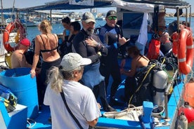 Larnaca: Snorkelling Zenobia Wreck