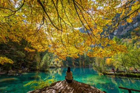 photo of a woman sitting at Blausee Lake under yellow tree in Autumn in Switzerland.