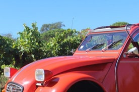 1/2 day private Vintage tour, vineyards of Saint-Tropez