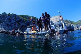 Buceo doble sueño en una reserva marítima.