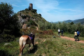 Balade à cheval de 2 heures pour les experts à Valgraziosa (Pise)