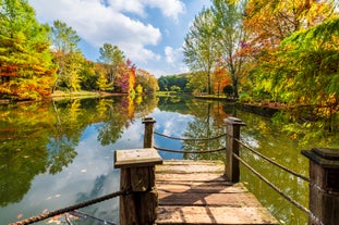 Atatürk Arboretum