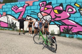 Tour in bicicletta di mezza giornata per la campagna di Venezia