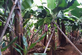 Funchal Agriculture Green Tour