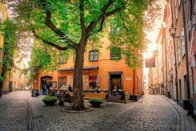 Einkaferð á ströndinni: Stockholm City Tour + heimsókn á Absolute ísbarinn