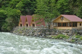 Kiyi Bungalov