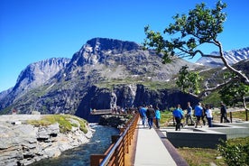 Trollstigen hápunktur ævintýraferð á fyrsta flokks með hádegisverði