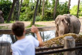 Arnhem: Burgers' Zoo Entry Ticket