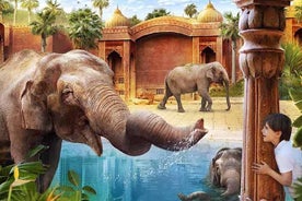 Пропустите очередь: Входной билет в Terra Natura Benidorm