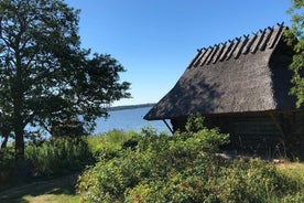 Full-Day customized Tour in Estonia