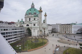 Private city tour in Vienna