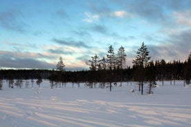 Photo of aerial view of Kittila, a municipality of Finland and a popular holiday resort. Levi is ski resort in Finland.