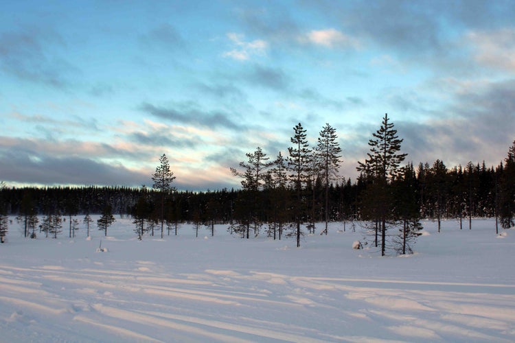 Photo of sunset in the woods of Äkäslompolo, a village in the municipality of Kolari in Finland's Lapland region.