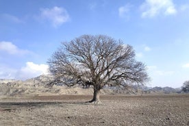 Excursión de un día al Parque Nacional Vashlovani desde Tbilisi