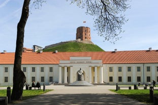 Aerial view of Vilnius old city.