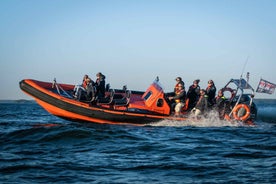 Helsinki: City and Outer Islands Guided RIB Boat Tour