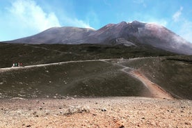 エトナ山頂地域（2900 mt）ランチとアルカンタラツアー-タオルミーナからの小グループ