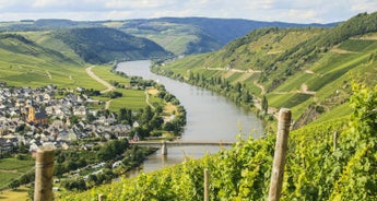 German Riverscapes from Passau to Trier (Passau - Trier)