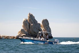 Boat excursion along the Conero Riviera with skipper