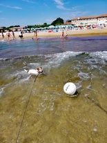 Photo of aerial view of Lido di Jesolo, or Jesolo Lido the beach area of the city of Jesolo in the province of Venice, Italy.