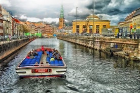 Private Direct Transfer From Malmo to Copenhagen