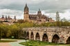 Roman bridge of Salamanca travel guide